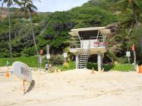 hanauma bay snorkeling